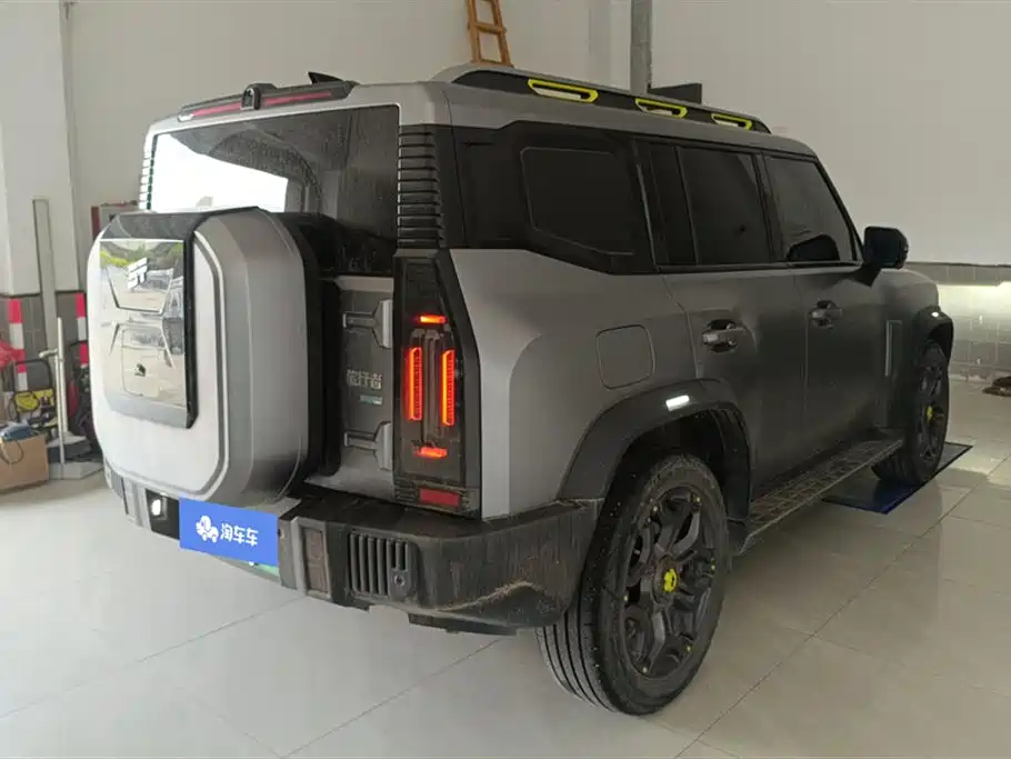 Shanhai Traveller C-DM 2024 — фото 3