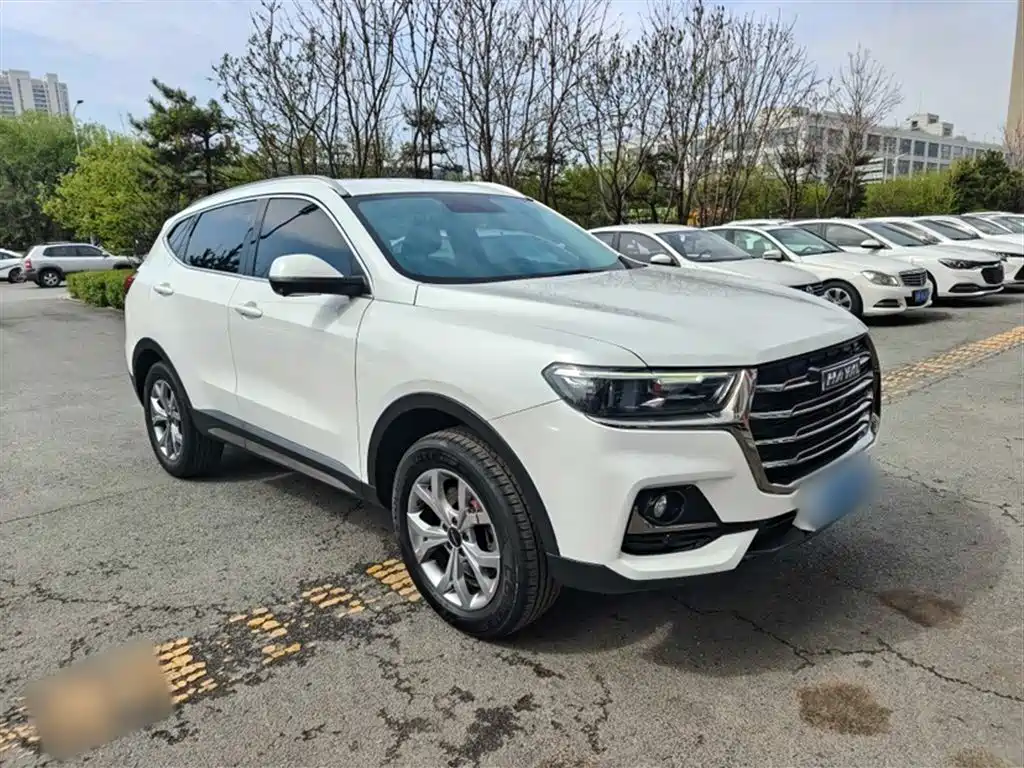 Haval H6 2021 — фото 9