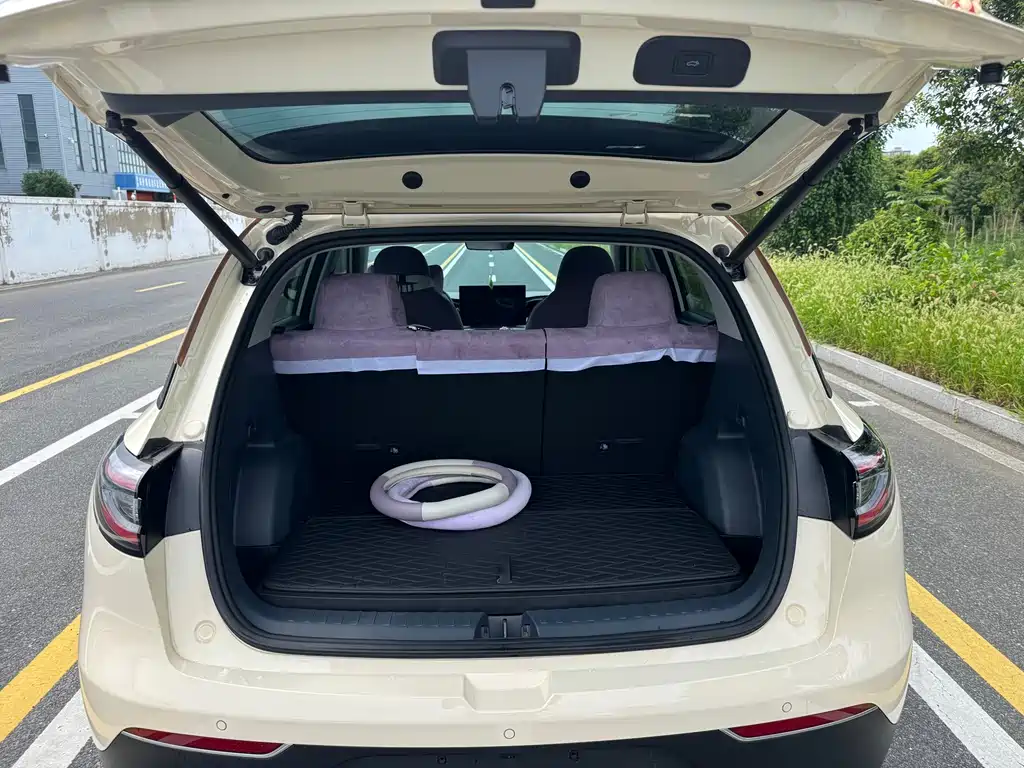 Geely Galaxy Starwish 2025 — фото 13