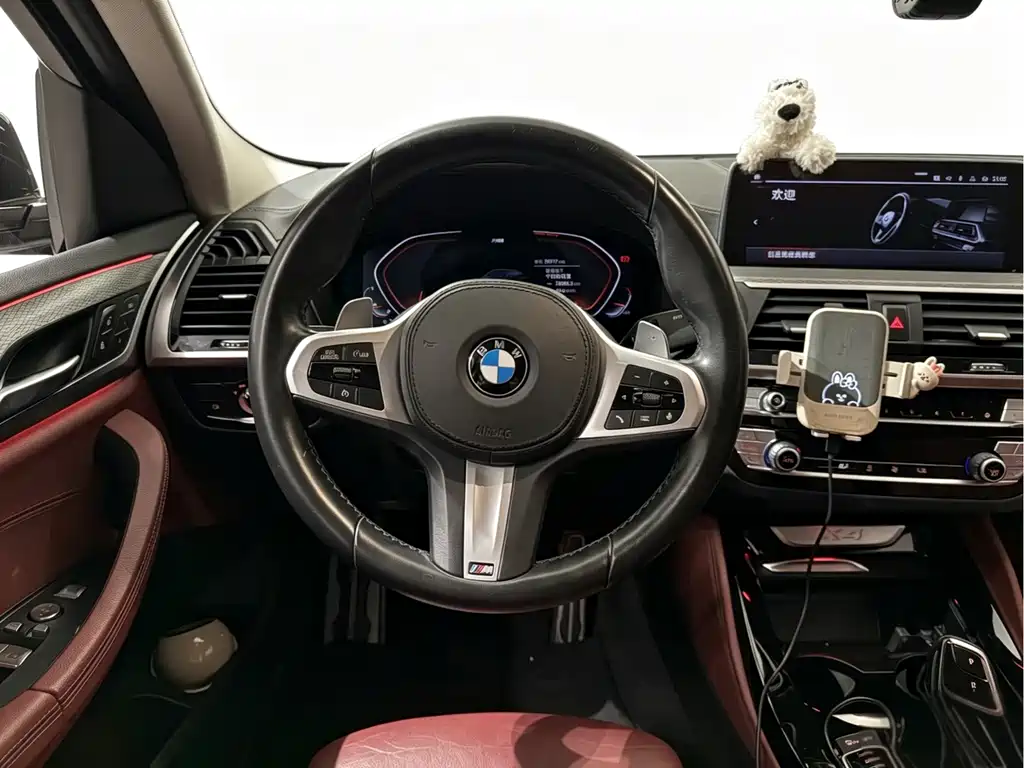 BMW X4 2021 — фото 7