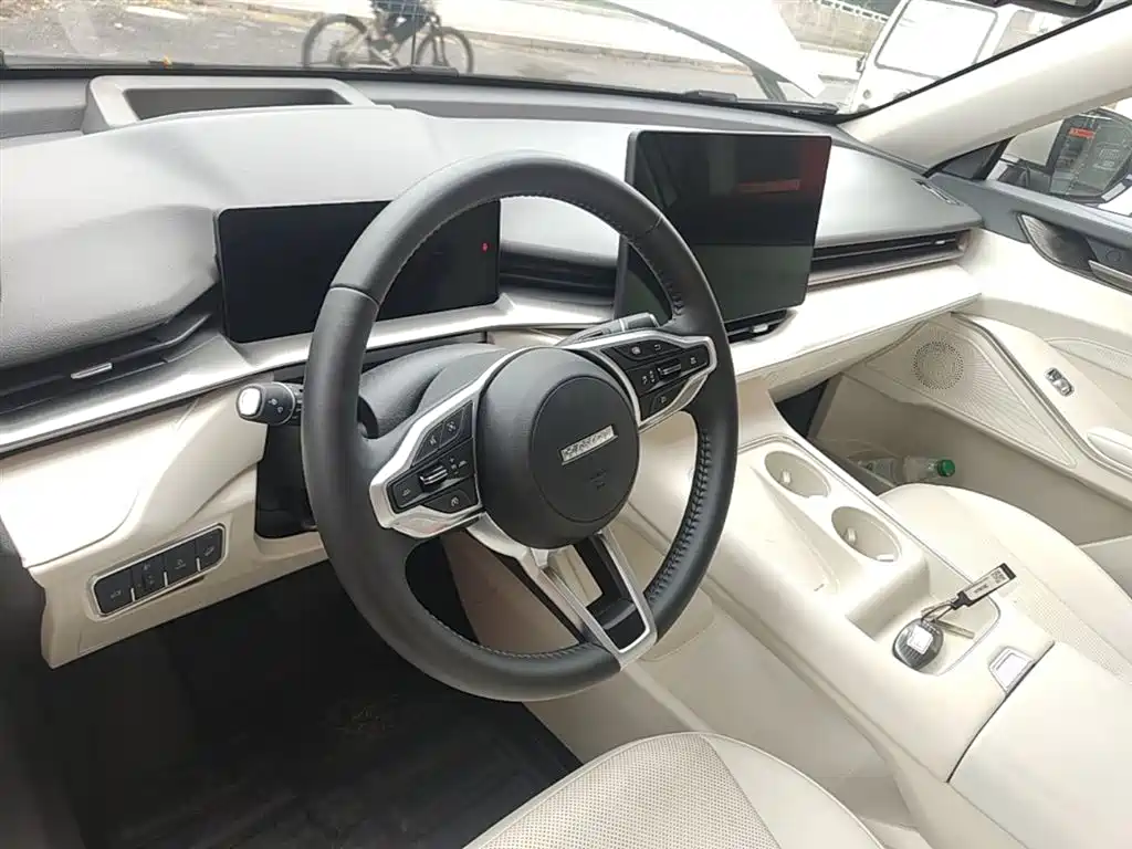 Haval H6 2024 — фото 10