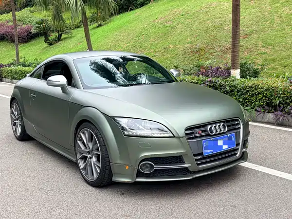 Audi TTS 2011