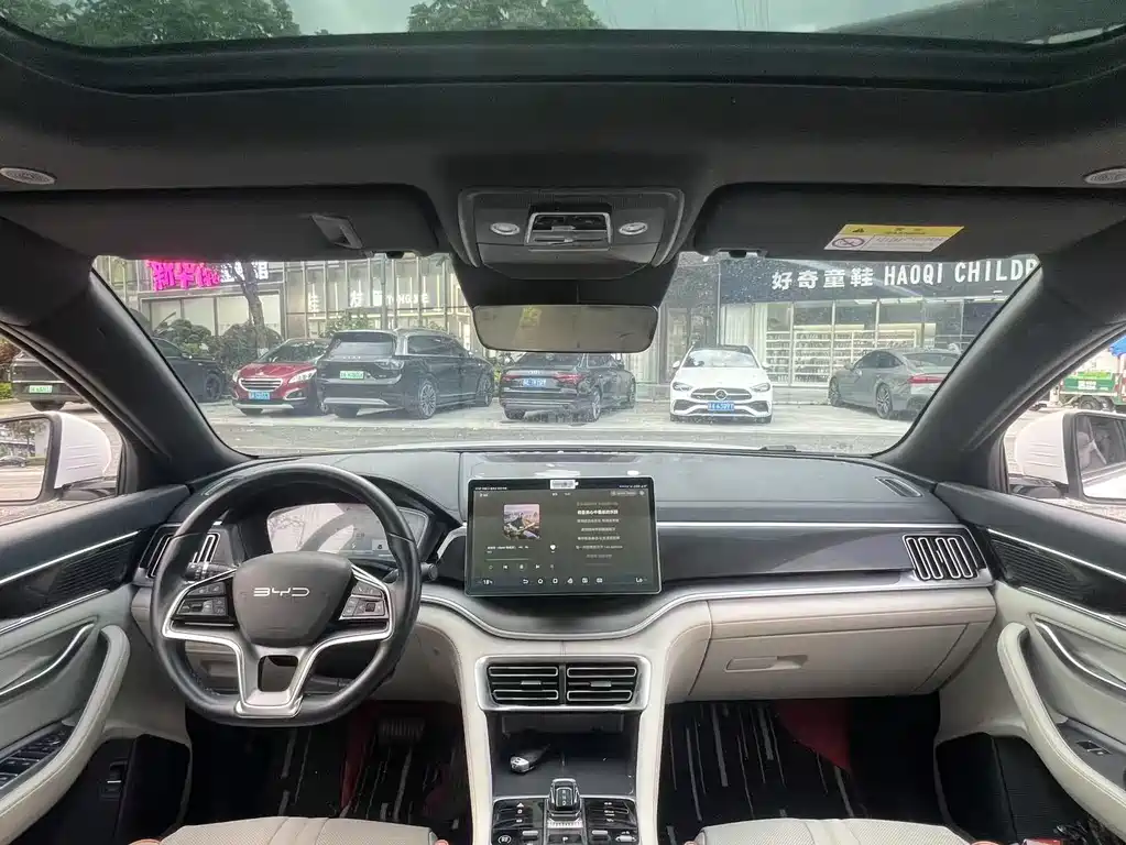 BYD PLUS New Energy 2023 — фото 8