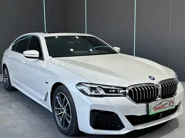 BMW 5 Series New Energy 2022