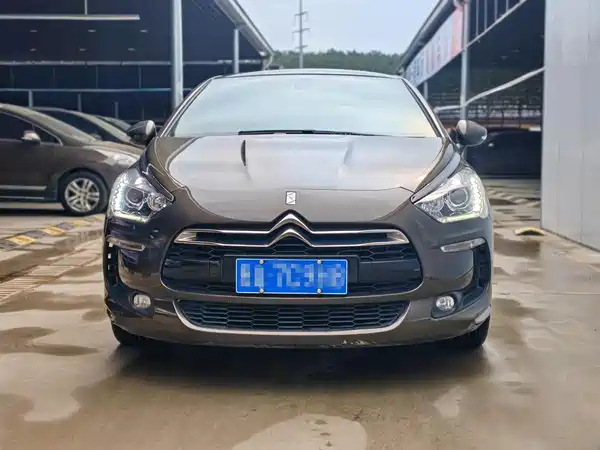 DS 5 2013