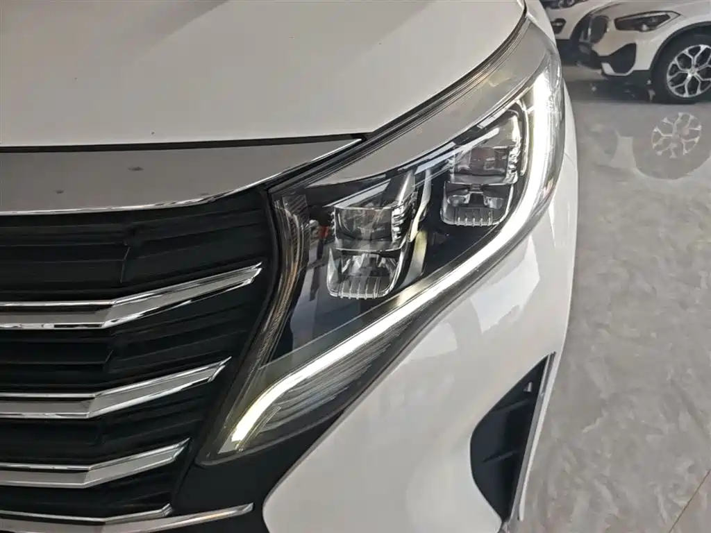 GAC Motor Trumpchi M8 2021 — фото 24