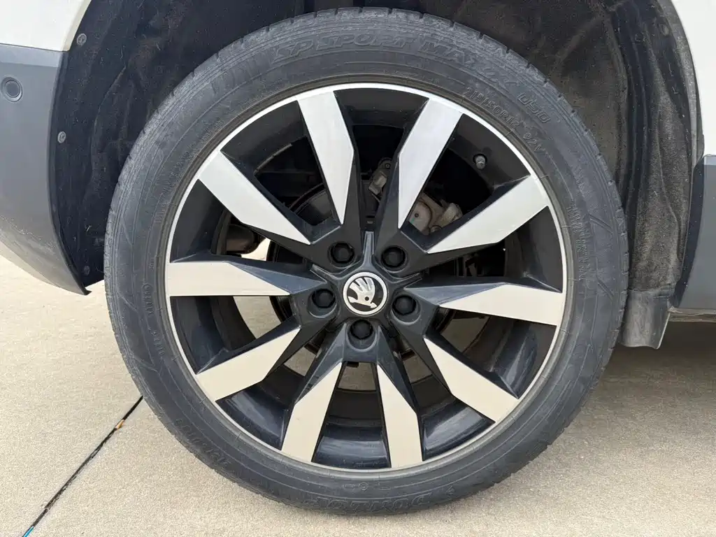 Skoda Karoq 2020 — фото 21