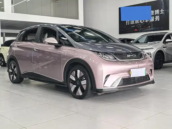 BYD Dolphin 2022