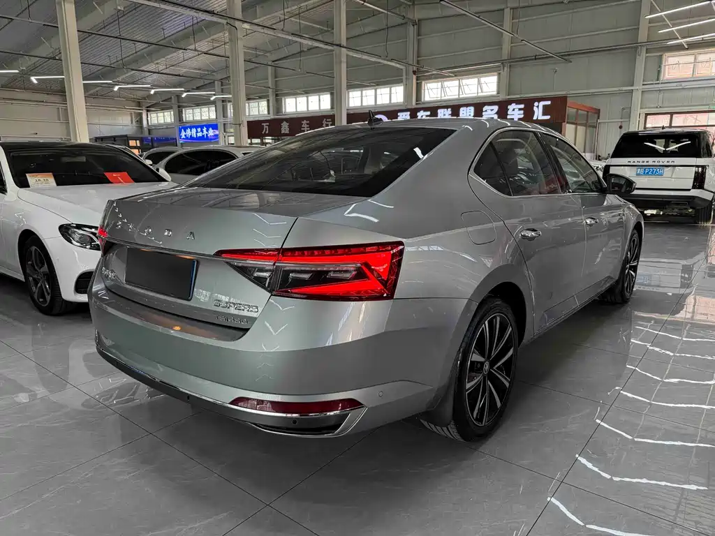Skoda Speedy 2024