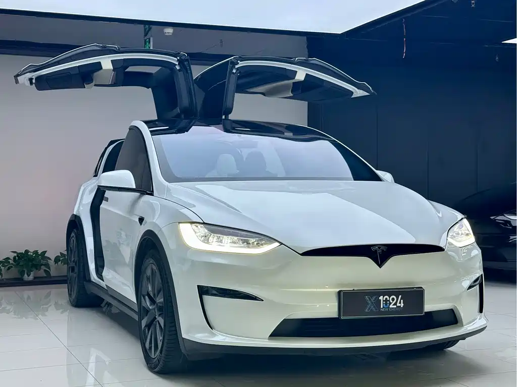 Tesla Model X 2023 — фото 3