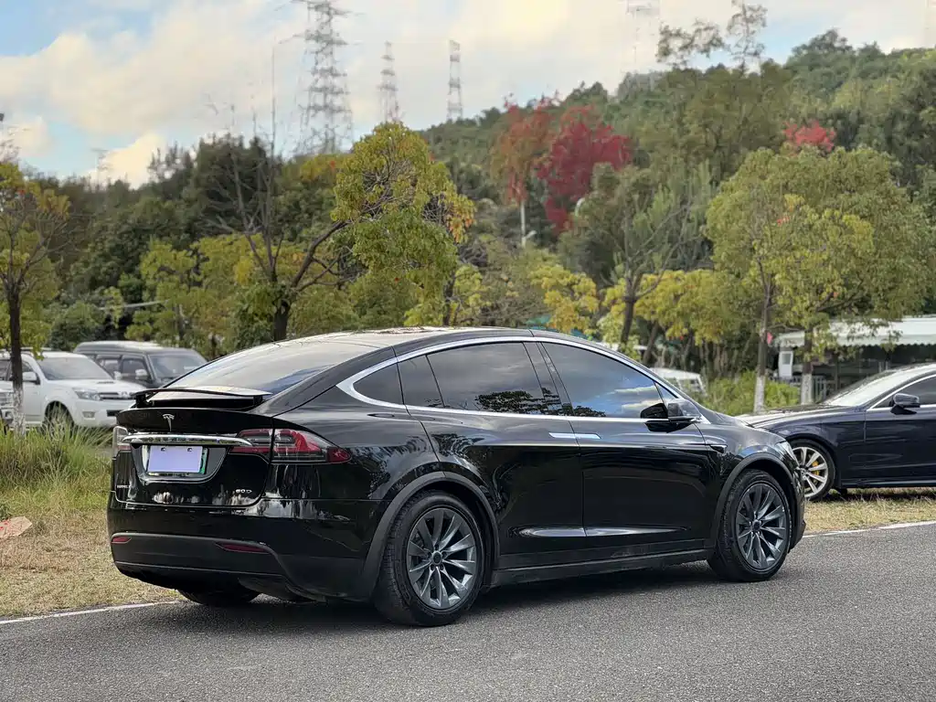 Tesla Model X 2018 — фото 9