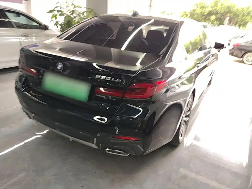 BMW 5 Series New Energy 2022