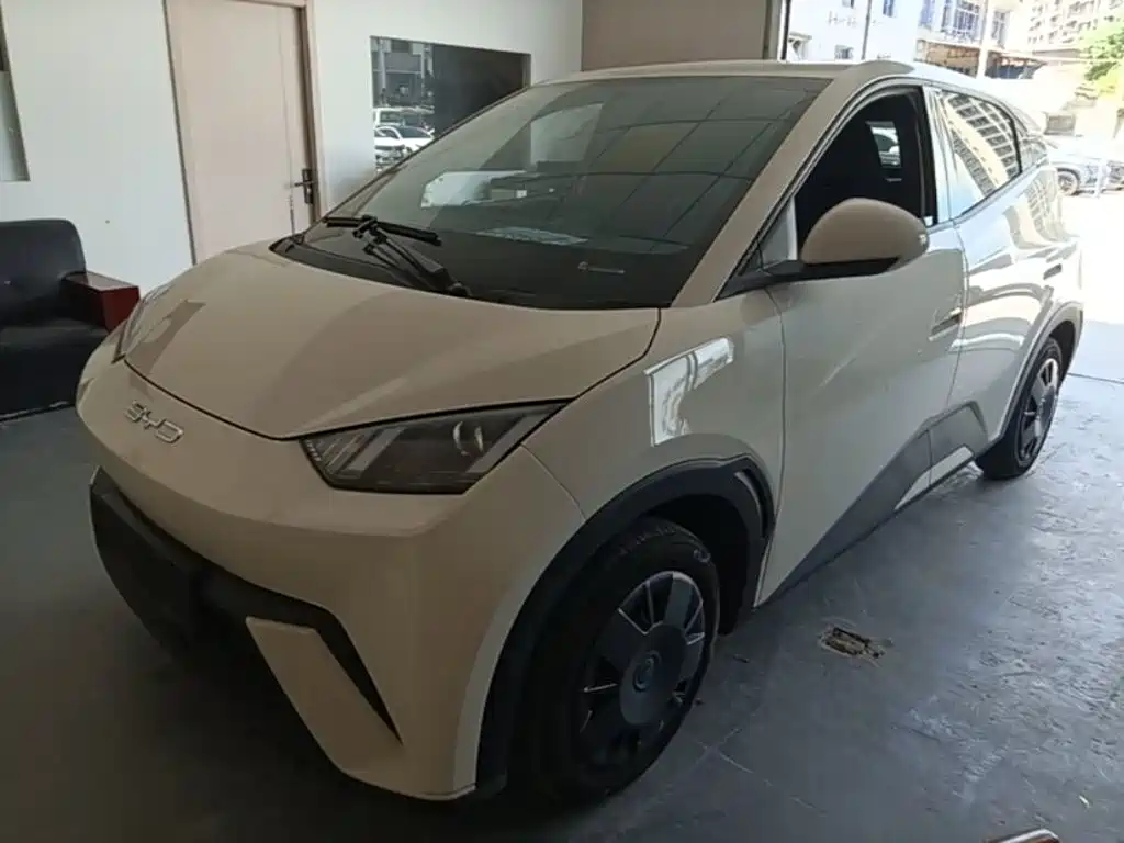 BYD Seagull 2024