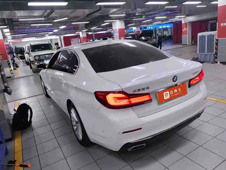 BMW 5 Series New Energy 2021