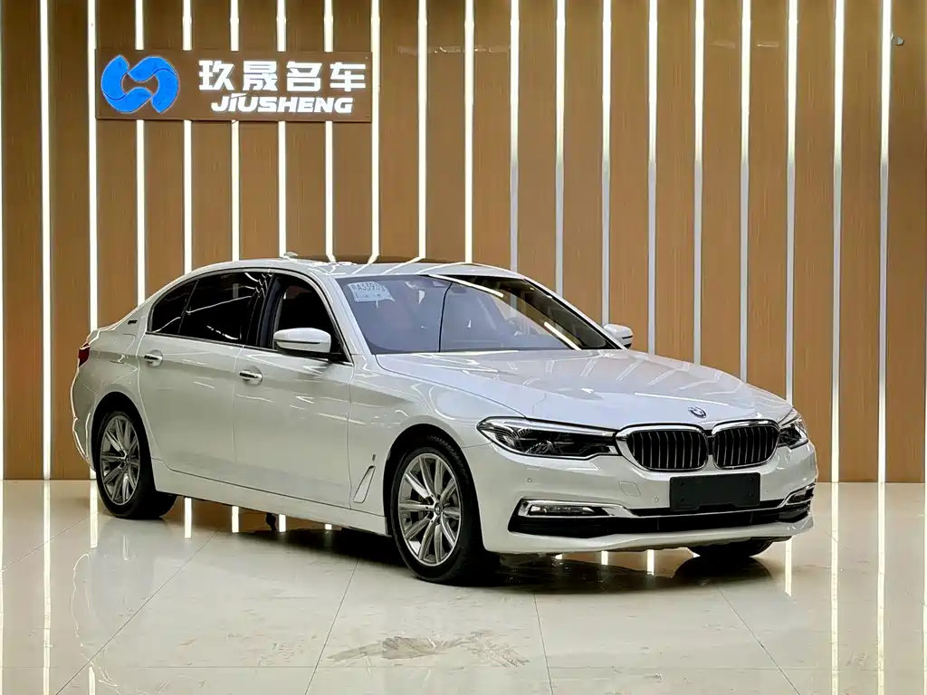 BMW 5 Series New Energy 2018