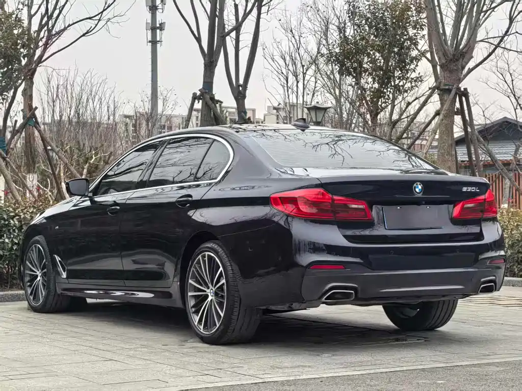 BMW 5 Series 2019