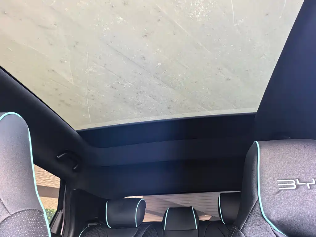 BYD Dolphin 2022