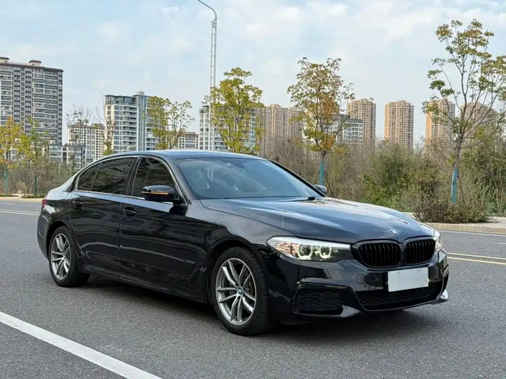 BMW 5 Series 2019