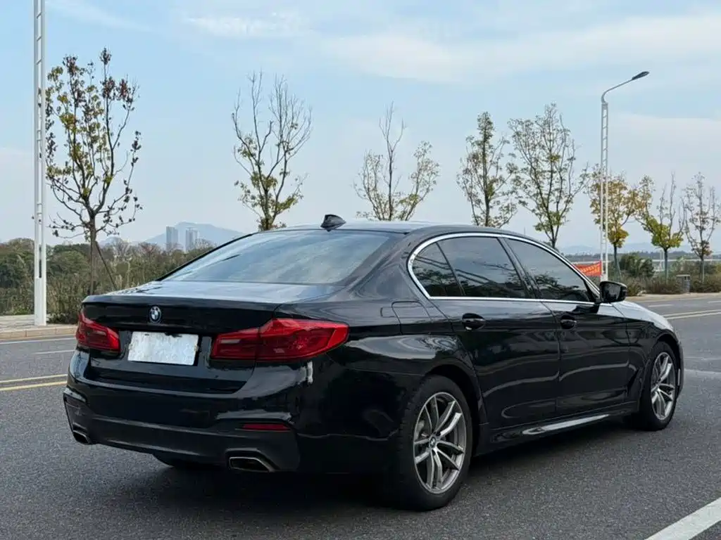 BMW 5 Series 2019