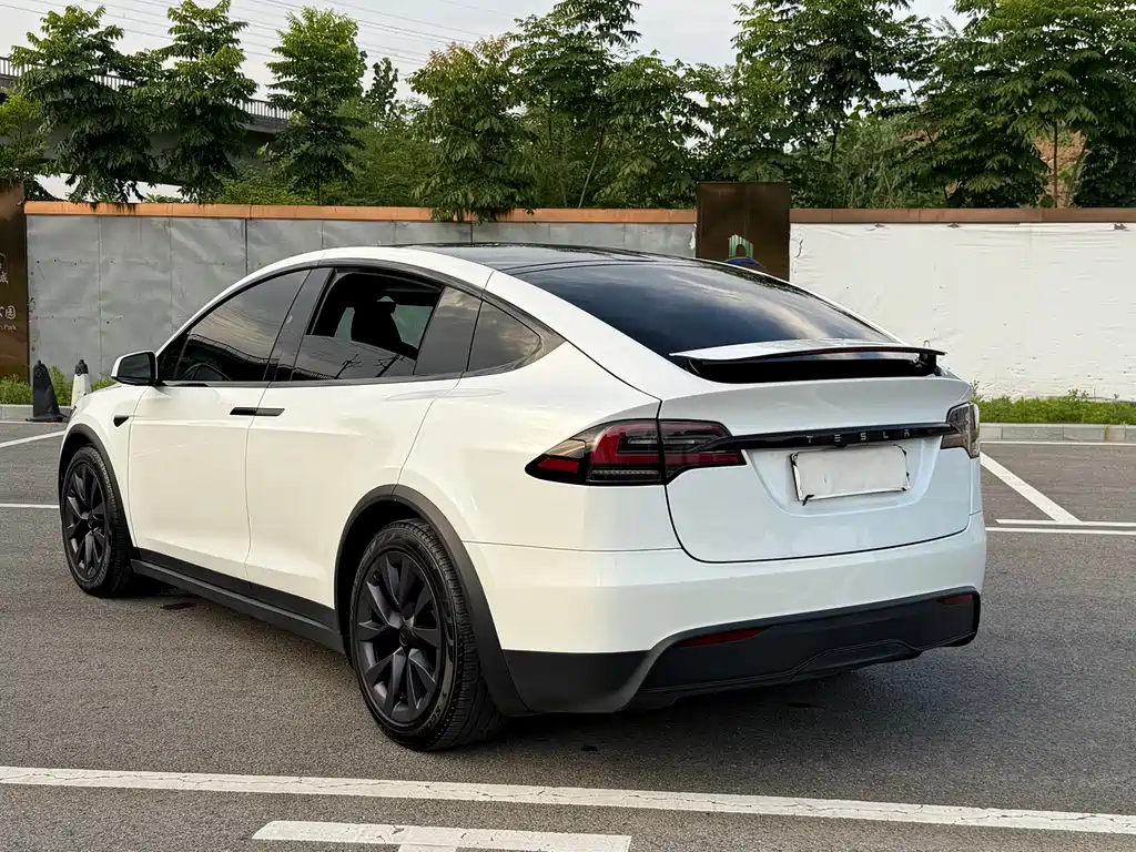 Tesla Model X 2023 — фото 8
