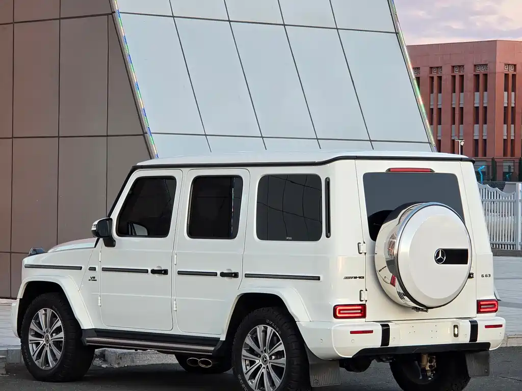 Mercedes-Benz G-Class 2021 — фото 14