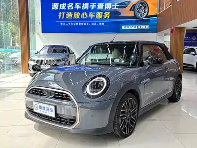 MINI MINI 2025
