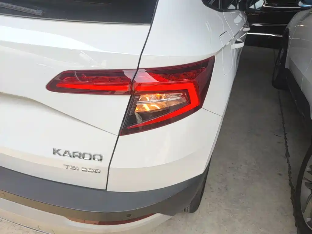 Skoda Karoq 2021 — фото 8