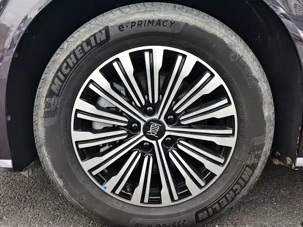 BYD Summer 2025