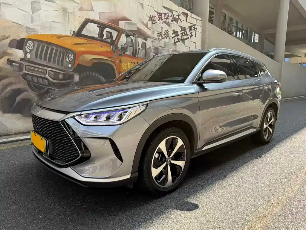 BYD PLUS New Energy 2022 — фото 1