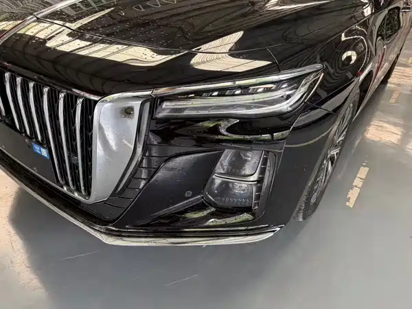Hongqi H5 2024