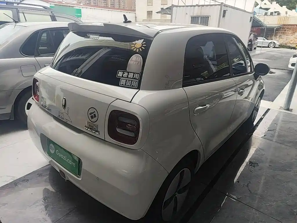 Ora Black Cat 2021