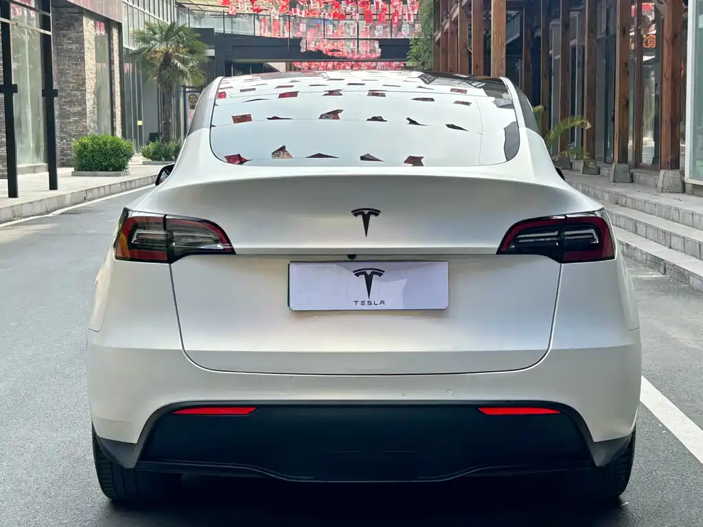Tesla Model Y 2021 — фото 18