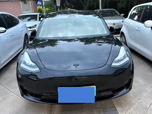 Tesla Model 3 2020