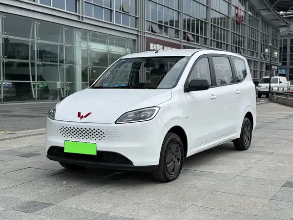 Wuling Hongguang New Energy 2025