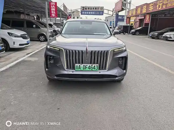 Hongqi E-HS9 2023