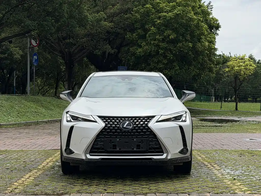 Lexus UX New Energy 2023 — фото 2