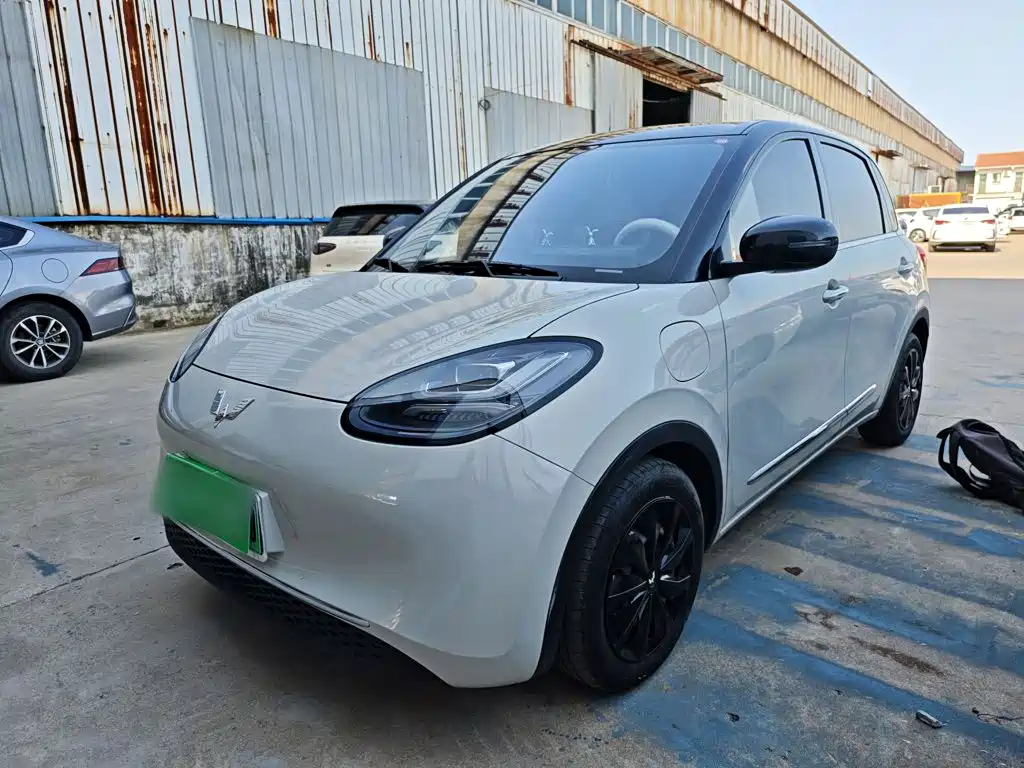 Wuling Bingo 2024
