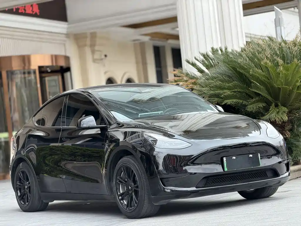 Tesla Model Y 2023 — фото 3
