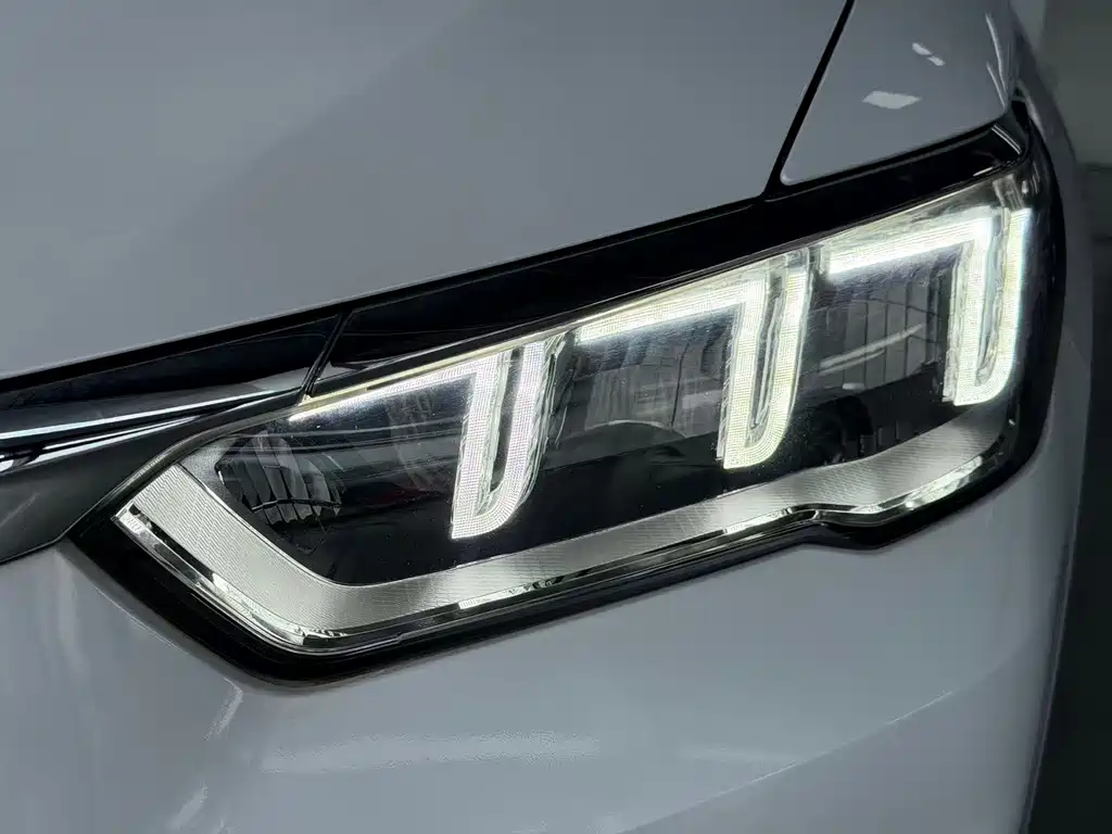 BYD Pro New Energy 2020 — фото 3