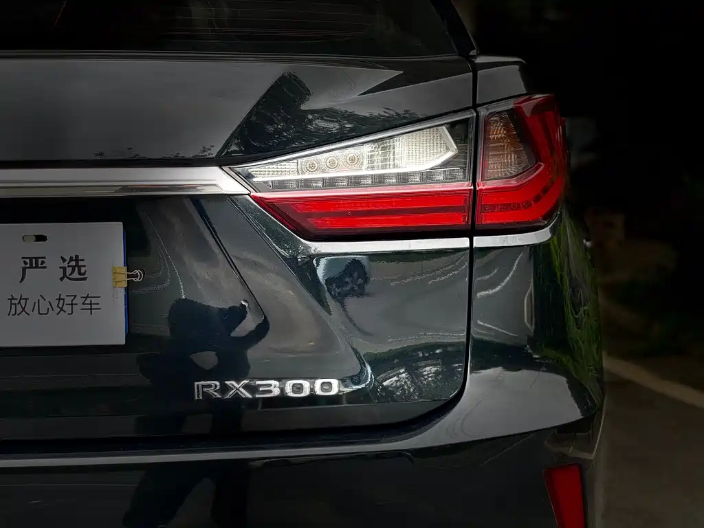 Lexus RX 2019 — фото 13