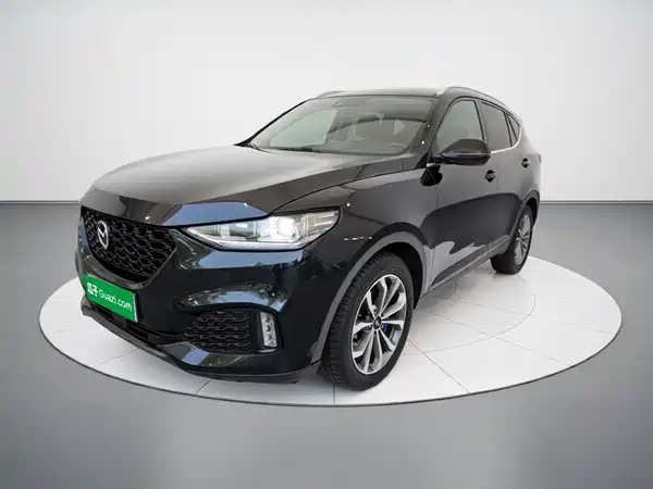 Wey VV6 2019