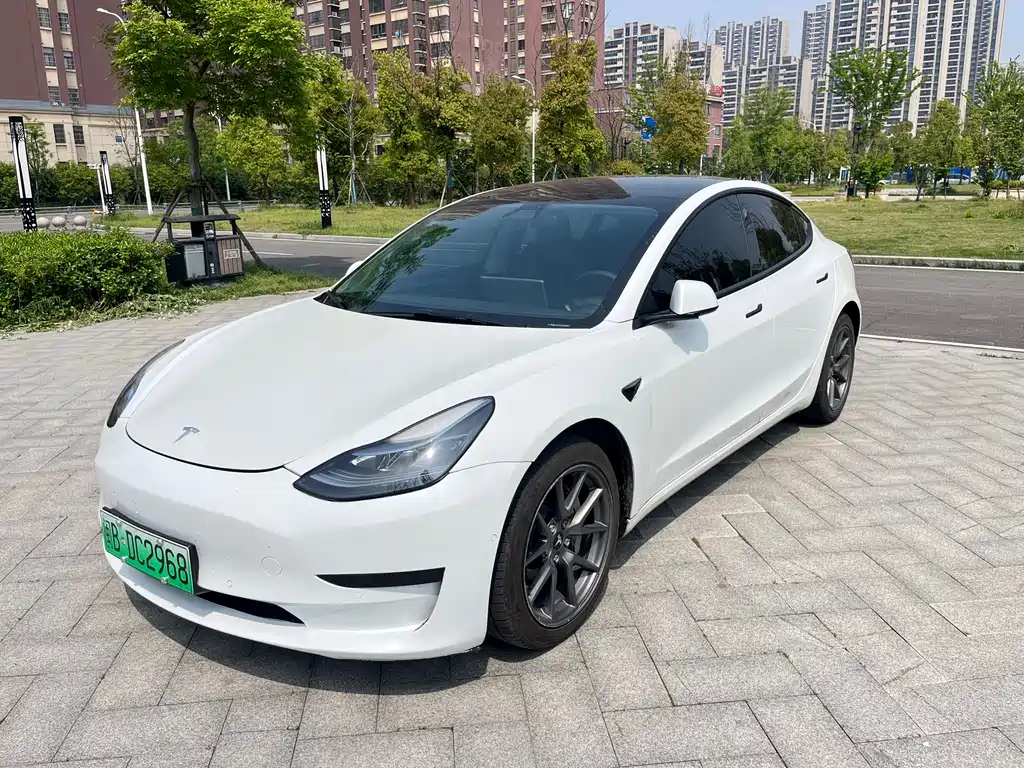 Tesla Model 3 2021 — фото 1