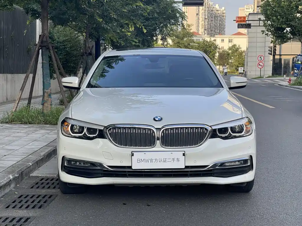 BMW 5 Series 2019 — фото 4