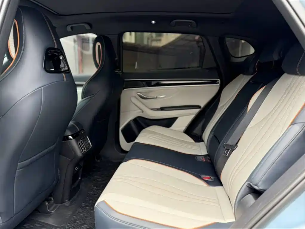 BYD PLUS New Energy 2023 — фото 18