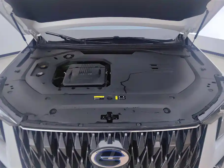GAC Motor Trumpchi ES9 2023 — фото 10