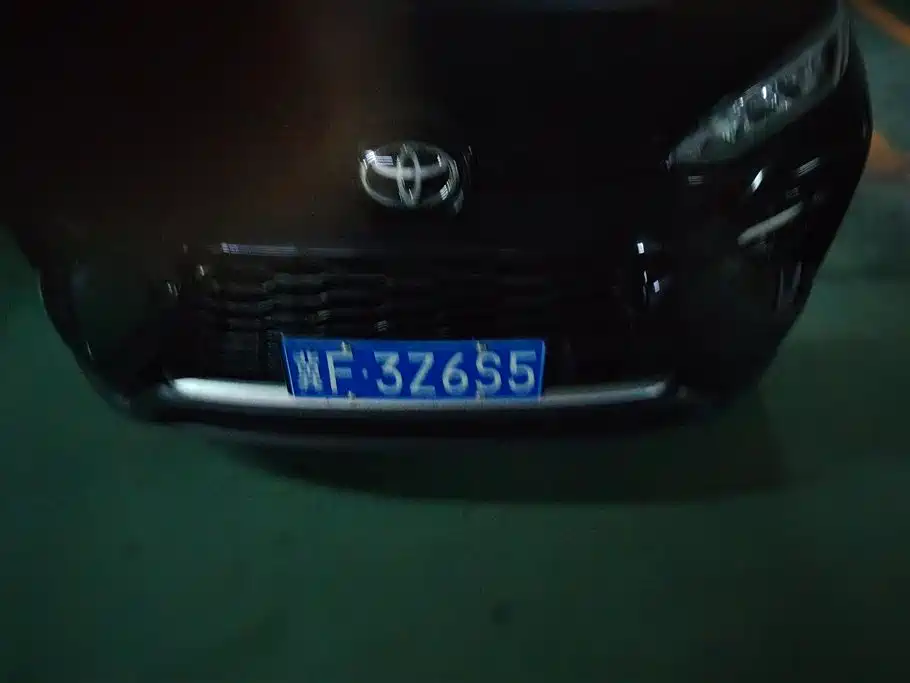 Toyota Wildlander 2021