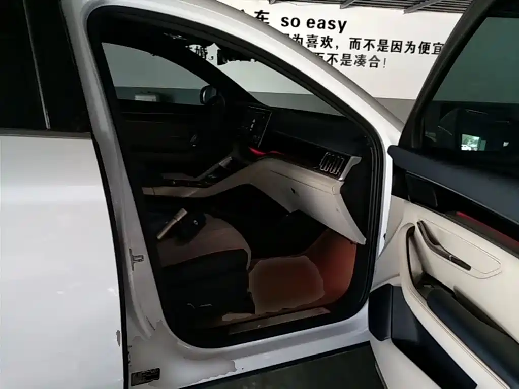 BYD PLUS New Energy 2023 — фото 25