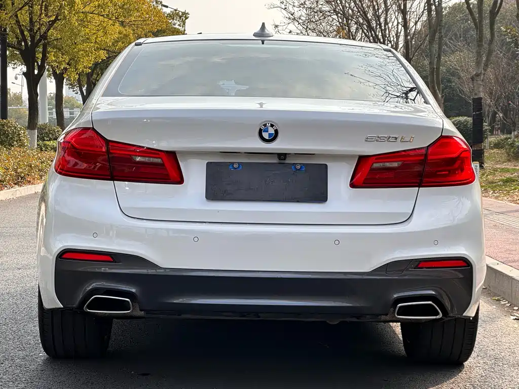 BMW 5 Series 2018 — фото 5