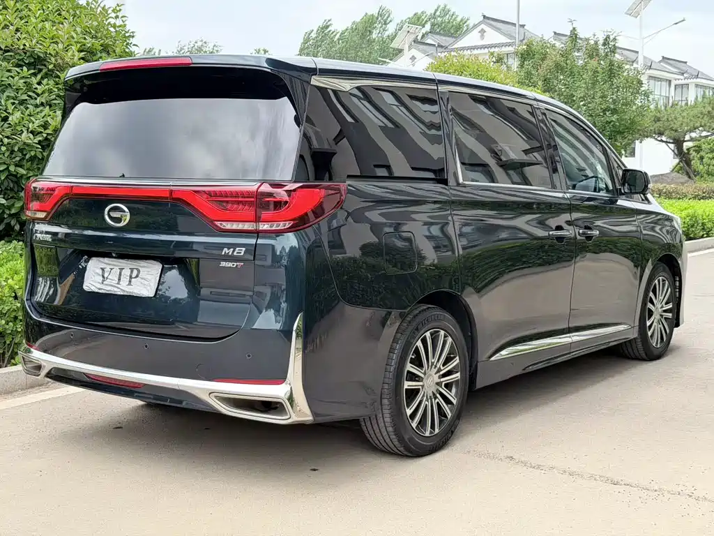 GAC Motor Trumpchi M8 2021 — фото 9