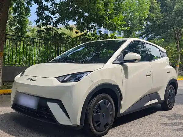 BYD Seagull 2024